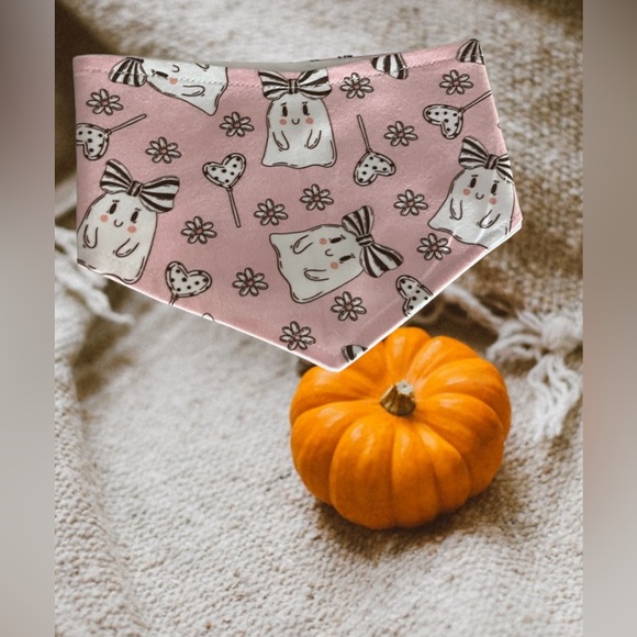 Fall collection - Picture 2 of 3